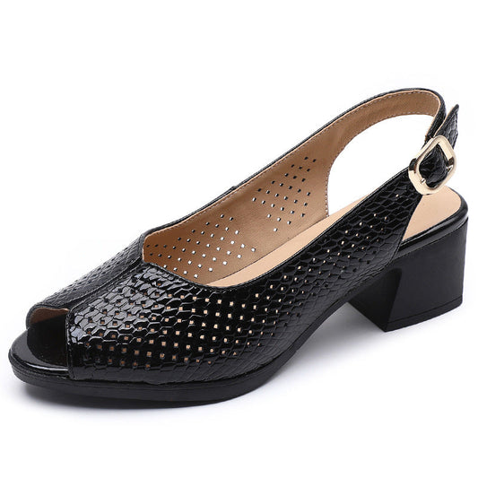 Perforated Peep Toe Block Heel Pumps for Women – Stylish & Comfortable
